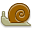 snail-icon
